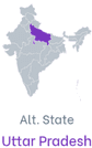 Alternative State or Union Territory indicator