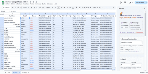 Example of Namsor Google Sheets Add-on interface.
